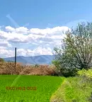 Парцел в Пловдив, Стамболийски