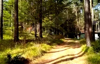 Парцел в Пловдив, хижа Здравец