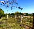 Снимка 4 — Парцел в Пловдив, с. Анево