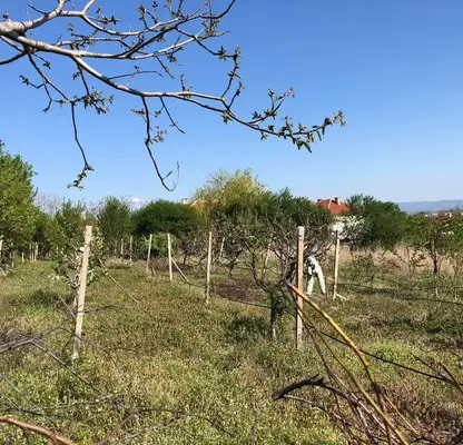 Снимка 4 — Парцел в Пловдив, с. Анево