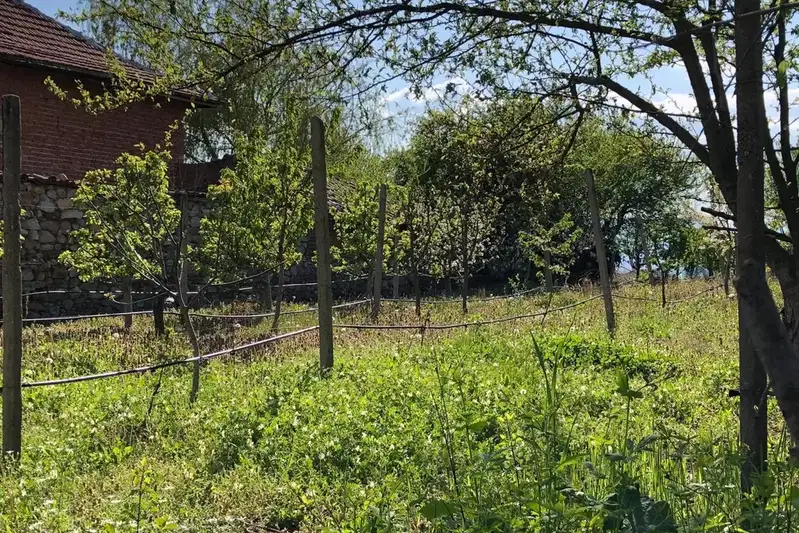 Парцел в Пловдив, с. Анево