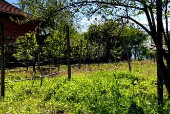 Парцел в Пловдив, с. Анево