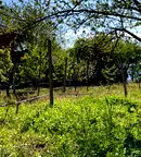 Парцел в Пловдив, с. Анево