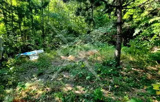 Парцел в Пловдив, с. Бачково