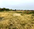 Снимка 2 — Парцел в Пловдив, с. Белащица