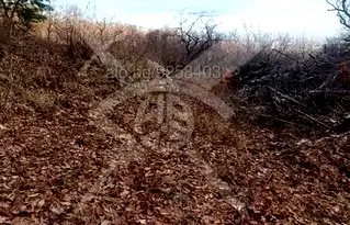 Парцел в Пловдив, с. Белащица