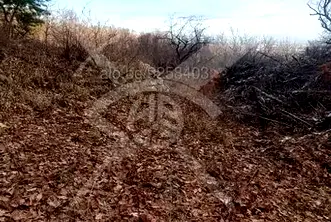 Парцел в Пловдив, с. Белащица