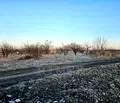 Снимка 5 — Парцел в Пловдив, с. Белащица