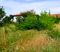 Снимка 2 — Парцел в Пловдив, с. Белащица