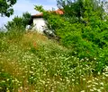 Снимка 4 — Парцел в Пловдив, с. Белащица