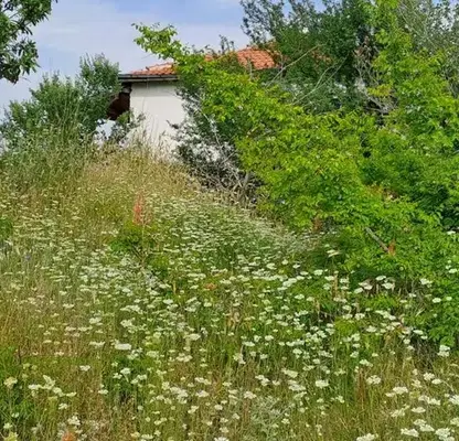 Photo 4 — Plot in Oblast Plovdiv, Belashtica