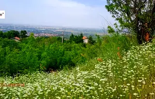 Парцел в Пловдив, с. Белащица