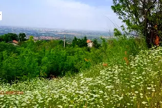Парцел в Пловдив, с. Белащица