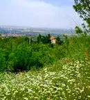 Парцел в Пловдив, с. Белащица