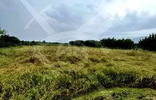 Парцел в Пловдив, с. Белащица
