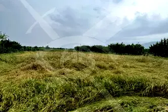 Парцел в Пловдив, с. Белащица