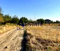 Снимка 2 — Парцел в Пловдив, с. Белащица