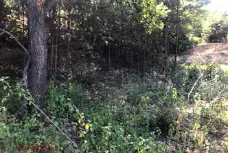 Парцел в Пловдив, с. Белащица