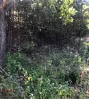 Парцел в Пловдив, с. Белащица