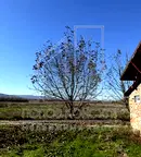 Парцел в Пловдив, с. Белащица