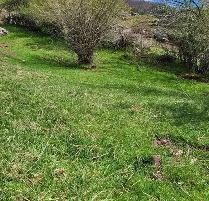 Photo 3 — Plot in Oblast Plovdiv, Belica