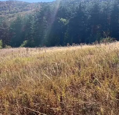 Photo 2 — Plot in Oblast Plovdiv, Boikovo