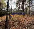 Снимка 2 — Парцел в Пловдив, с. Бойково