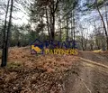 Снимка 3 — Парцел в Пловдив, с. Бойково