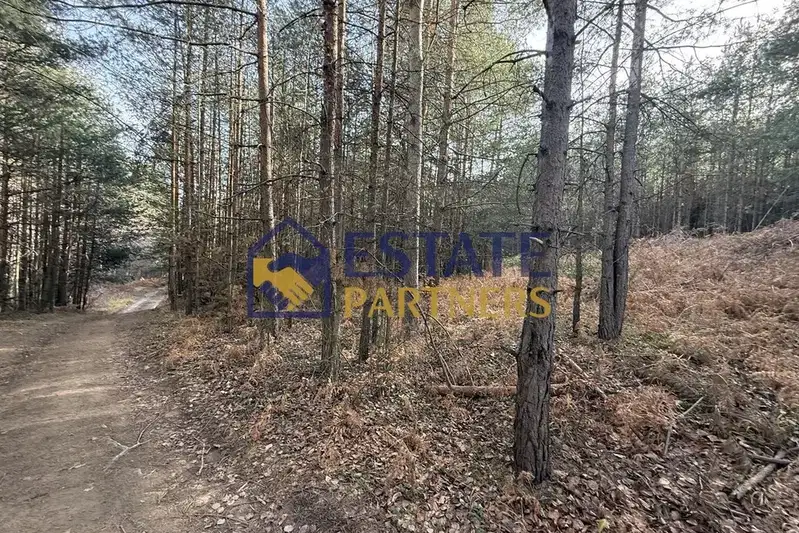 Парцел в Пловдив, с. Бойково