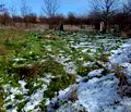 Снимка 2 — Парцел в Пловдив, с. Болярино