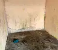 Снимка 4 — Парцел в Пловдив, с. Болярино