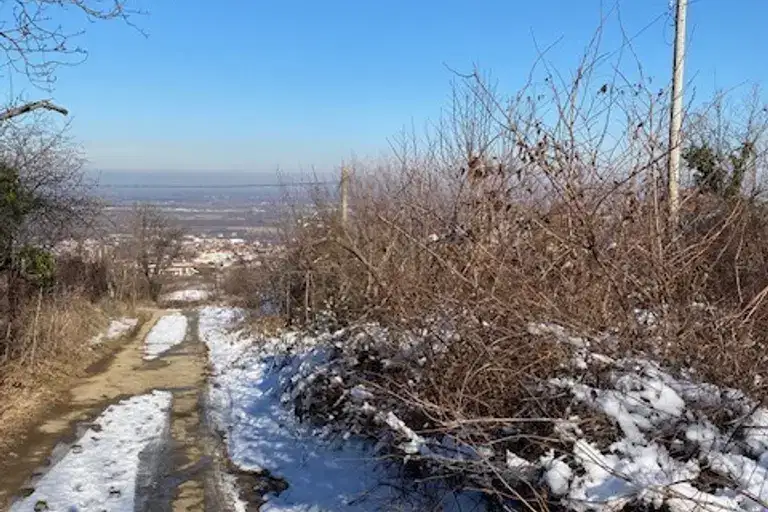 Парцел в Пловдив, с. Брестник