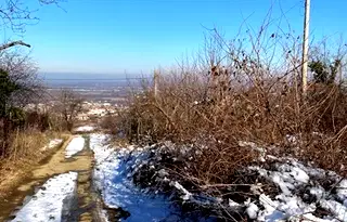 Парцел в Пловдив, с. Брестник