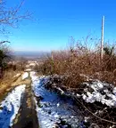 Парцел в Пловдив, с. Брестник