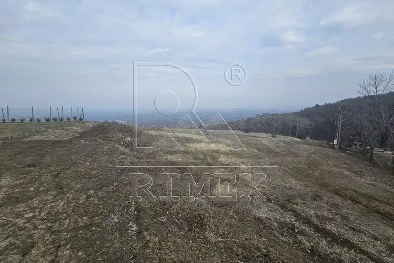 Plot in Oblast Plovdiv, Brestnik