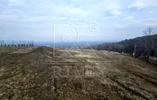 Парцел в Пловдив, с. Брестник