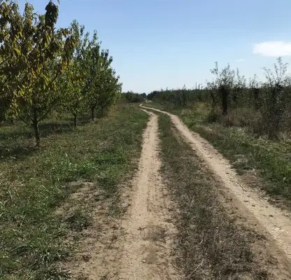 Снимка 2 — Парцел в Пловдив, с. Брестник