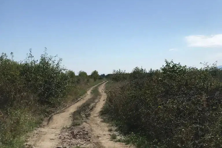 Парцел в Пловдив, с. Брестник