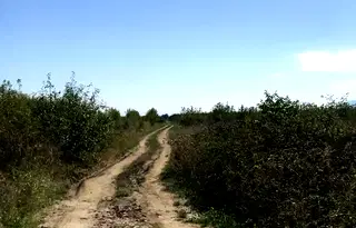 Парцел в Пловдив, с. Брестник