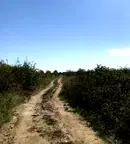 Парцел в Пловдив, с. Брестник