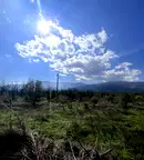 Парцел в Пловдив, с. Брестник