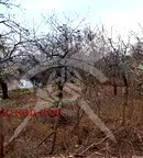 Парцел в Пловдив, с. Брестник
