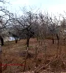 Парцел в Пловдив, с. Брестник