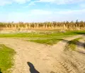 Снимка 2 — Парцел в Пловдив, с. Брестник