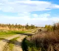 Снимка 5 — Парцел в Пловдив, с. Брестник
