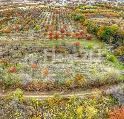 Photo 3 — Plot in Oblast Plovdiv, Brestnik