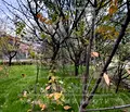 Снимка 2 — Парцел в Пловдив, с. Брестник