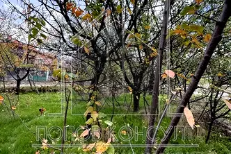 Парцел в Пловдив, с. Брестник