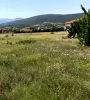 Парцел в Пловдив, с. Брестник
