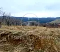 Снимка 2 — Парцел в Пловдив, с. Брестник